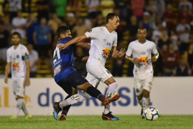 Macaque in the trees
