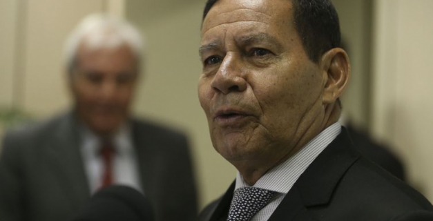 Macaque in the trees