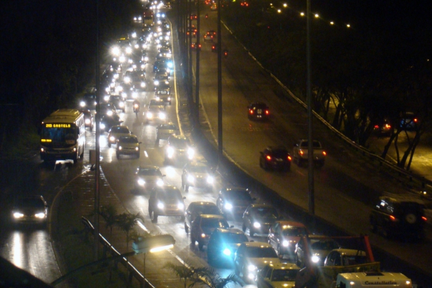 Macaque in the trees