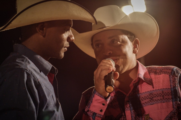 Macaque in the trees