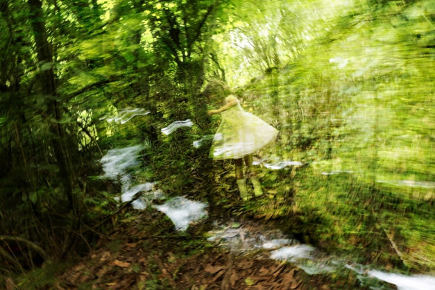 Macaque in the trees