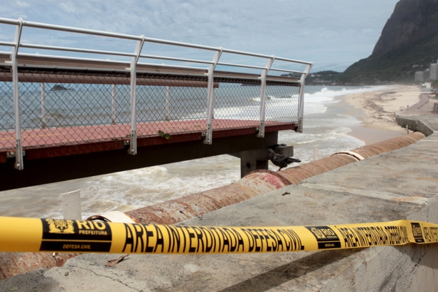 Macaque in the trees