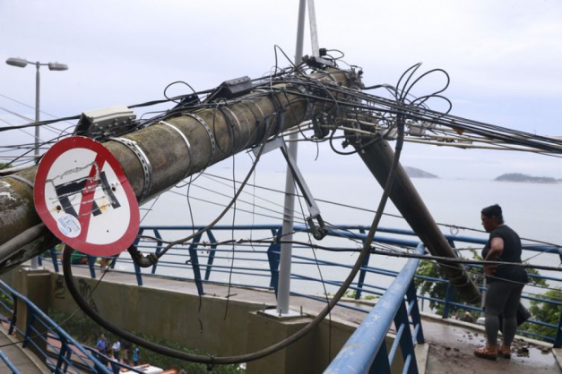 Macaque in the trees