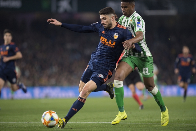 Macaque in the trees