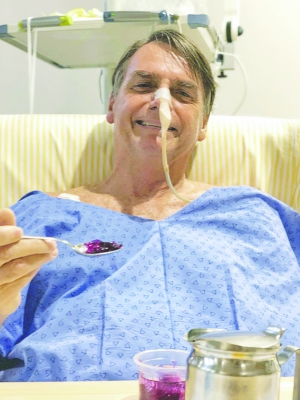 Pela manhã, de sonda nasogástrica, Bolsonaro posta uma foto mostrando comer gelatina Macaque in the trees
