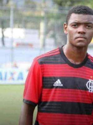 Macaque in the trees