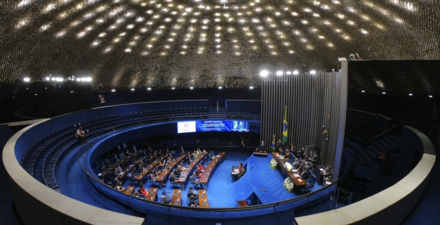 Macaque in the trees