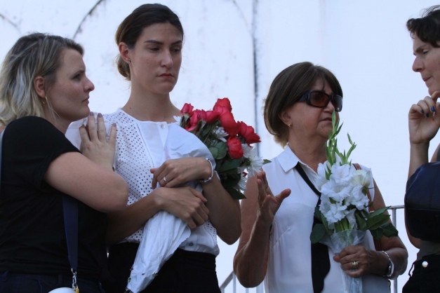 Macaque in the trees