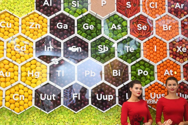 Macaque in the trees