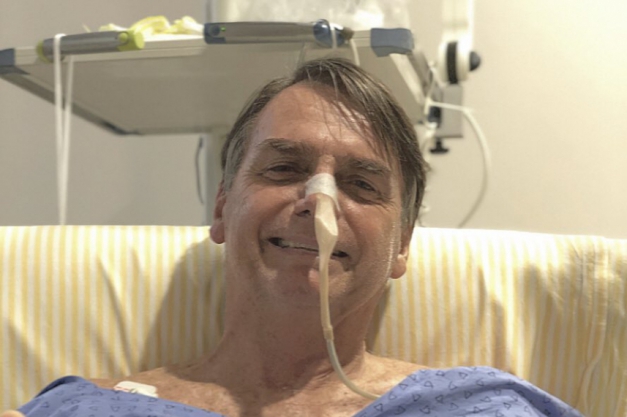 Macaque in the trees