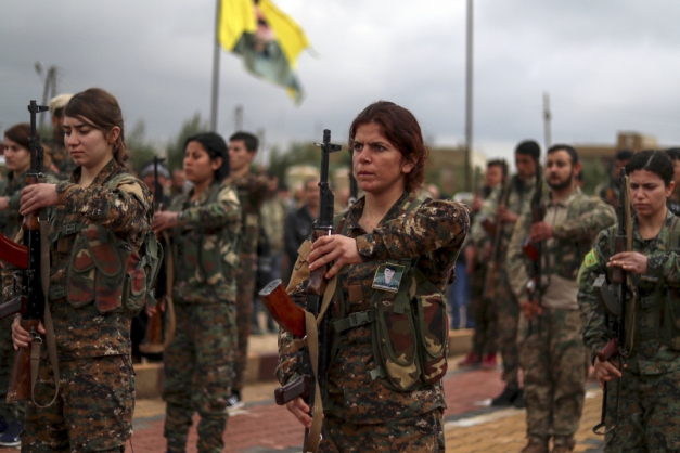 Macaque in the trees