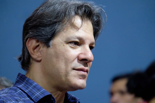 Macaque in the trees