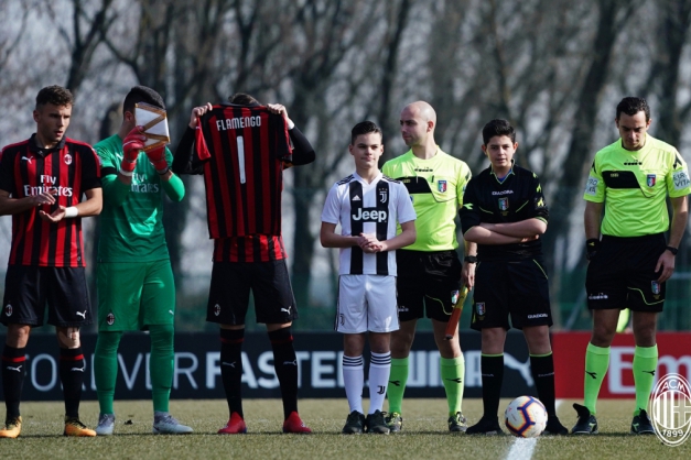 Macaque in the trees
