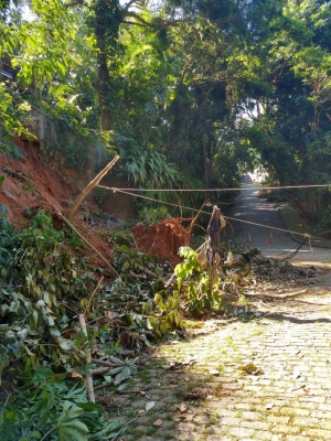 Árvores caídas em condomínio de São Conrado: moradores estão sem luz e sem poder se locomover desde quarta-feira (Foto: Foto de leitor)