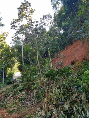 Árvores caídas em condomínio de São Conrado: moradores estão sem luz e sem poder se locomover desde quarta-feira (Foto: Foto de leitor)