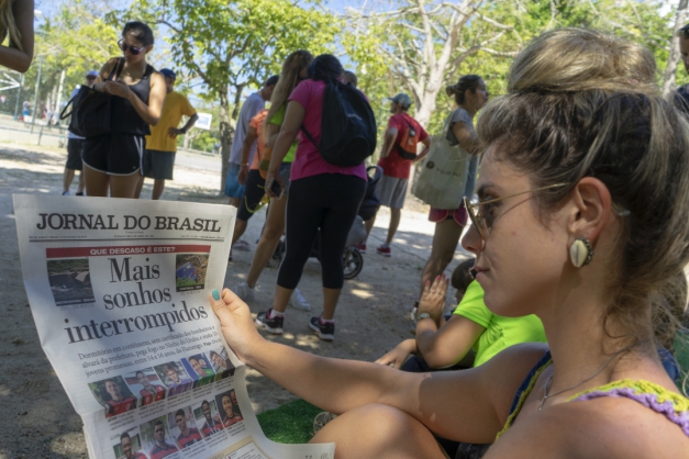 Macaque in the trees