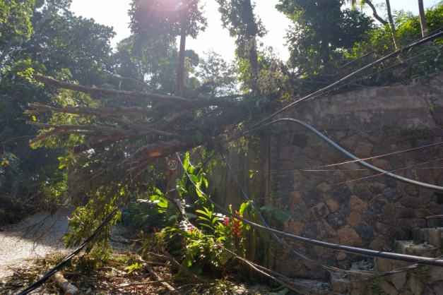 Árvores caídas em condomínio de São Conrado: moradores estão sem luz e sem poder se locomover desde quarta-feira (Foto: Foto de leitor)