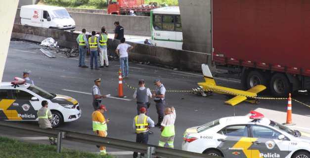 Macaque in the trees