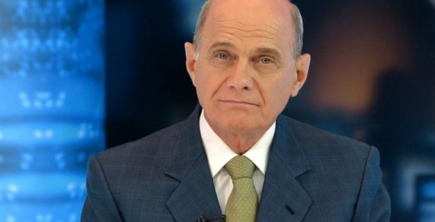 Macaque in the trees