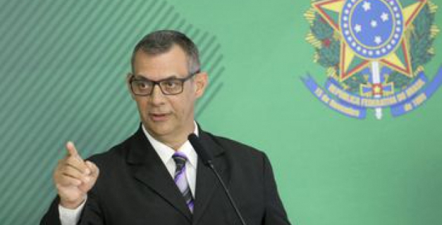 Macaque in the trees