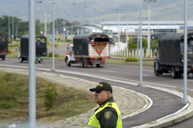 Macaque in the trees
