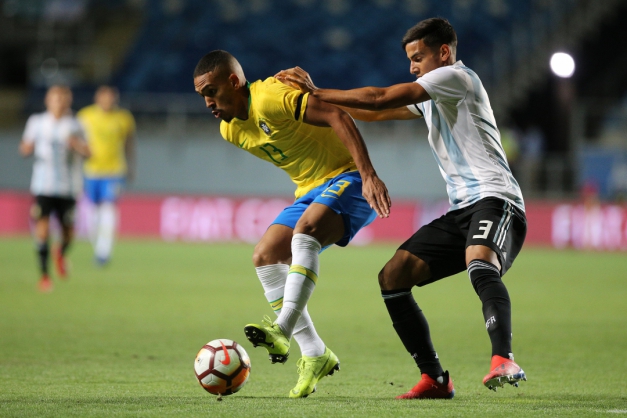 Macaque in the trees