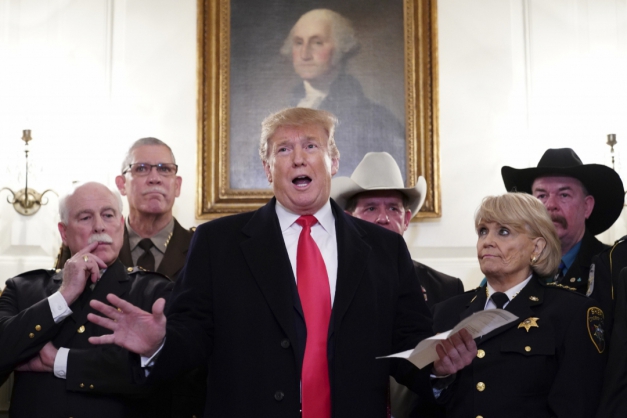 Macaque in the trees