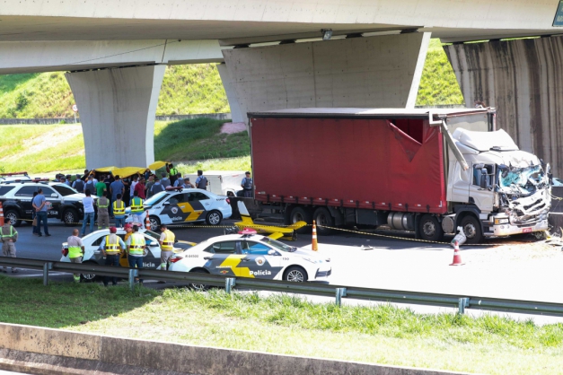 Macaque in the trees