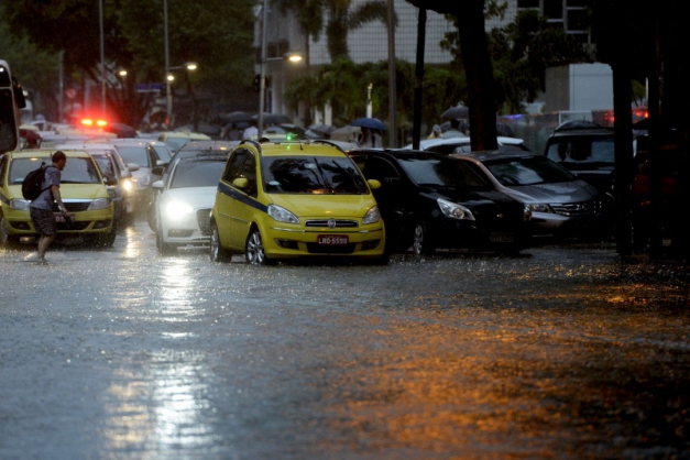Macaque in the trees