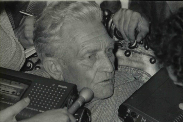 Macaque in the trees