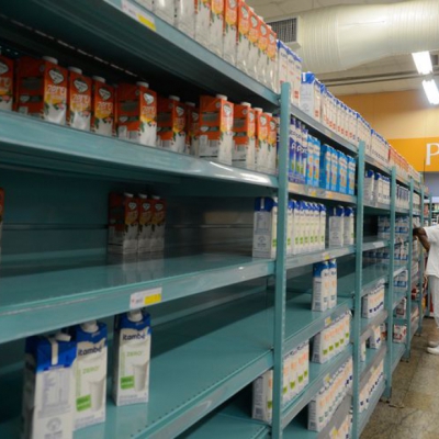 Macaque in the trees