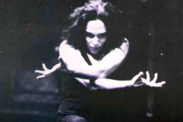 Macaque in the trees