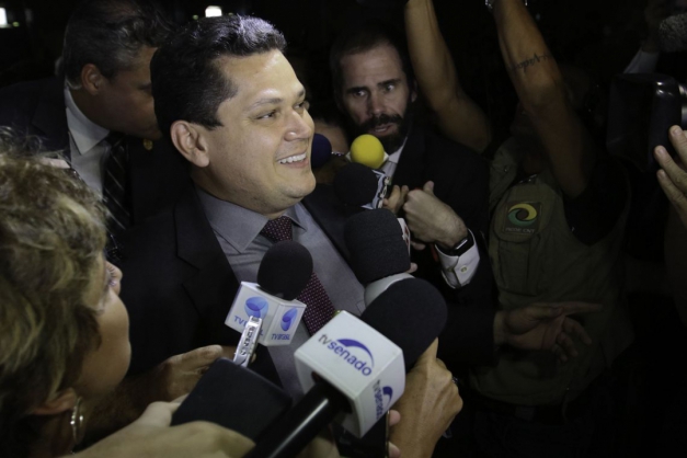 Macaque in the trees