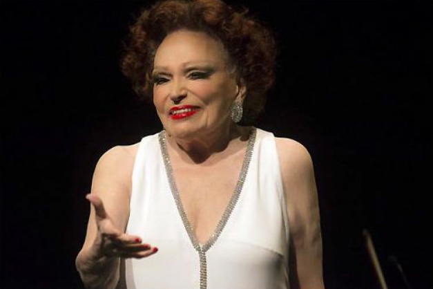 Macaque in the trees