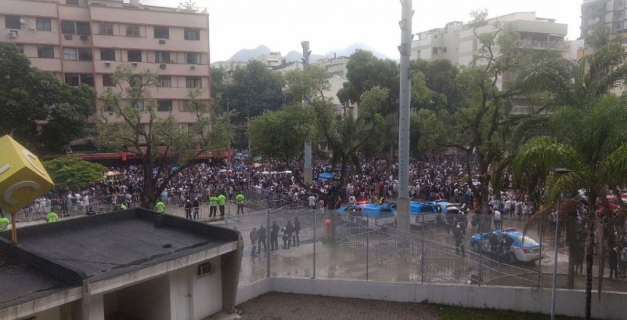 Macaque in the trees