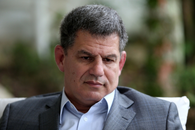 Macaque in the trees