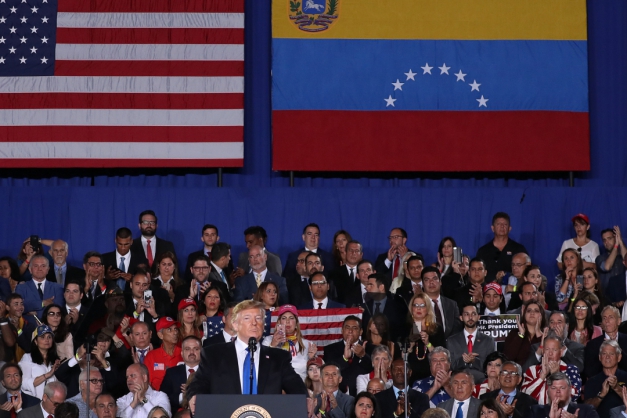 Macaque in the trees