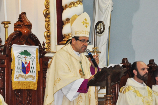 Macaque in the trees