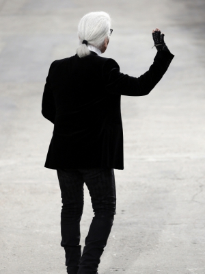 Macaque in the trees