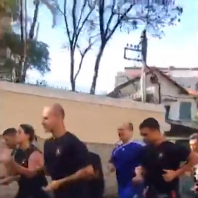 Macaque in the trees