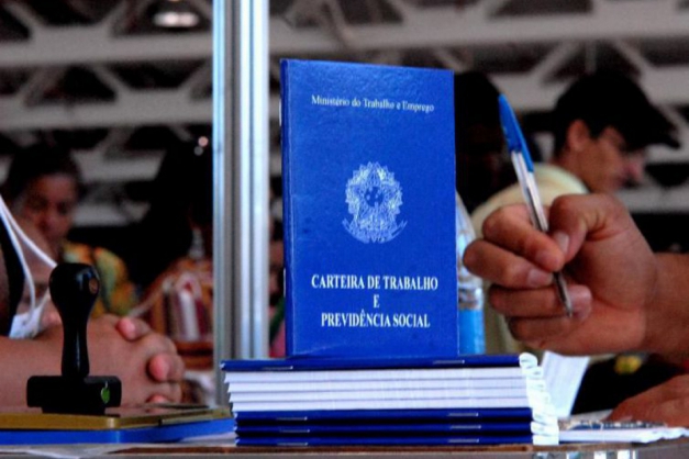 Taxa de desemprego entre jovens paulistanos é superior à da população geral, diz pesquisa Macaque in the trees