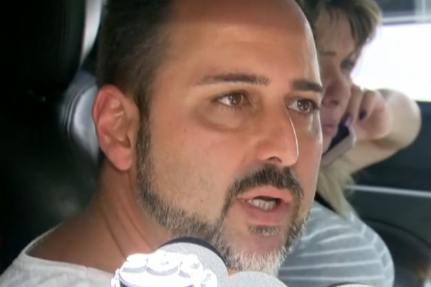 Macaque in the trees