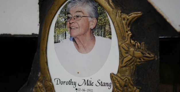 Macaque in the trees