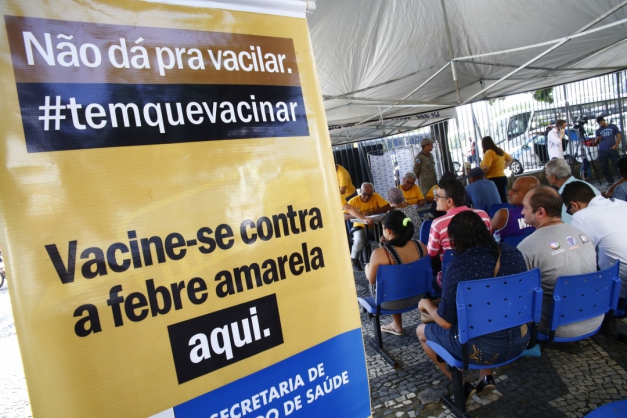 Macaque in the trees