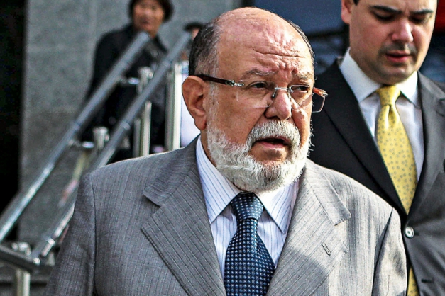 Macaque in the trees