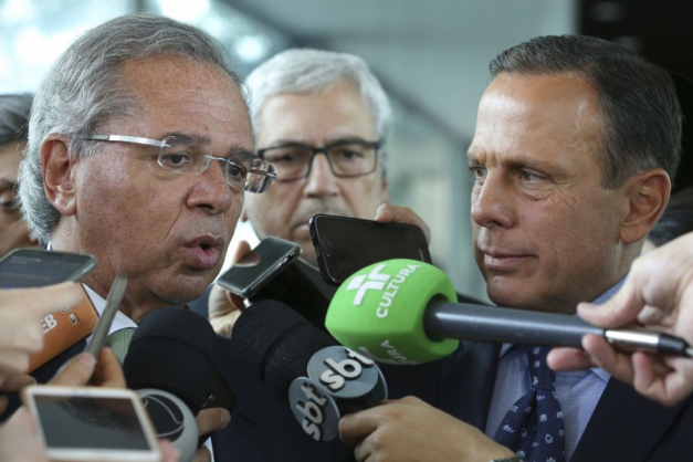 Macaque in the trees