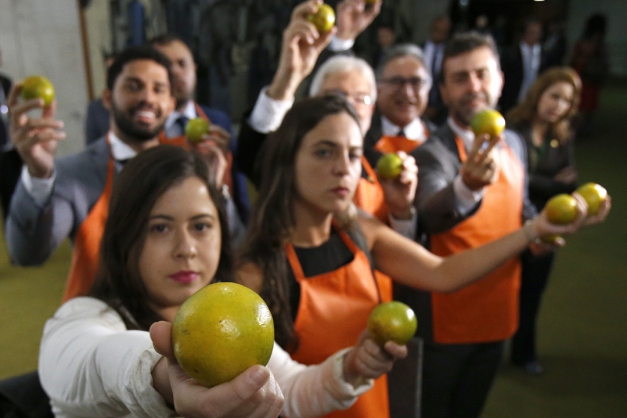 Macaque in the trees