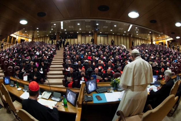 Macaque in the trees