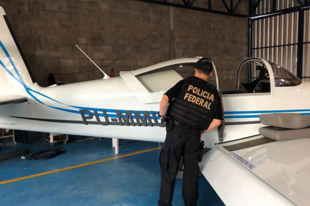 Macaque in the trees