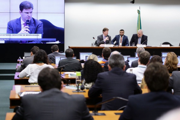 Macaque in the trees